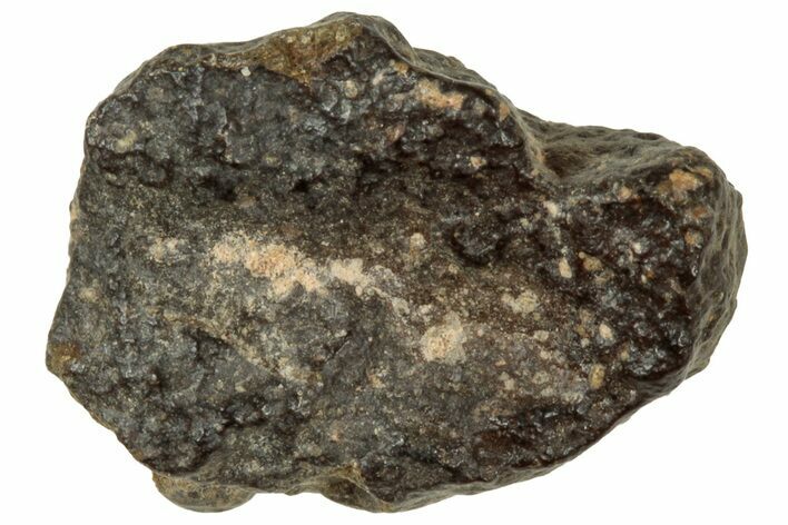 Abadla CM Chondrite Meteorite ( g) - Algeria #313045